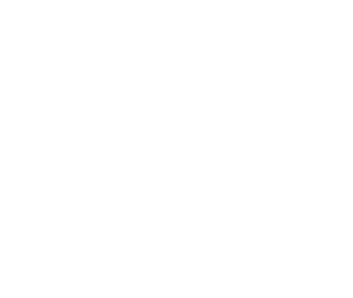 Advokat Brčko - Advokatska kancelarija Igor Đurić - Slajder Logo